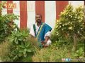 Thabovanam 11/27/12