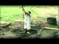 Tulisi Samoa 1st Movie Out Soon Ta Le Lava Pologa