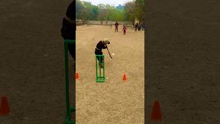 Covet Drive Beautiful Batting