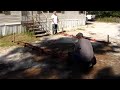 Build a horse run-in shed, run-in shelter carport