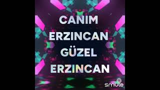 Şirin Erzincan Karaoke