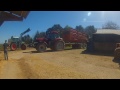 ensilage