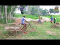 TRY TO NOT LAUGH CHALLENGE || Funny Videos, Ep-75 || Compilation For My Family ||