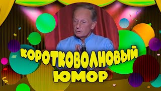 Коротковолновый Юмор - Михаил Задорнов | Лучшее @Zadortv #Юмор