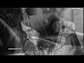 Neil Young Heart Of Gold Hd Lyrics images Neil Young Heart Of Gold Hd Lyrics