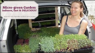 Micro-Green Garden... Indoors, Fast & Delicious