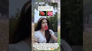 Masya Alloh.. Indahnya Ciptaan Mu