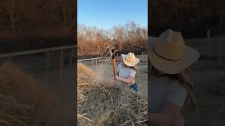 Raking Hay So My Goats Can Reach