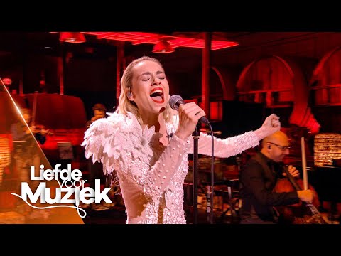 Camille Dhont - Gebarsten Hart