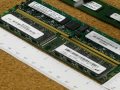ddr1