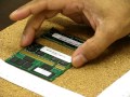 ddr1