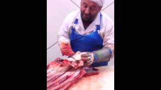 Atilla Ses Budur