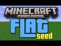 Minecraft: Pocket Edition