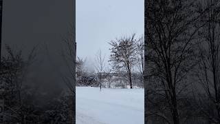 Winter Flurries