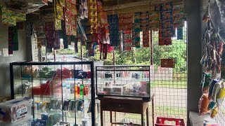Sari Sari Store Update