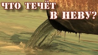 Что течёт в Неву?