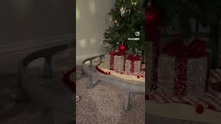 Monorail Or Sleigh?