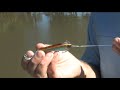 Barramundi Fishing in Australia showcasing a special Lure Technique