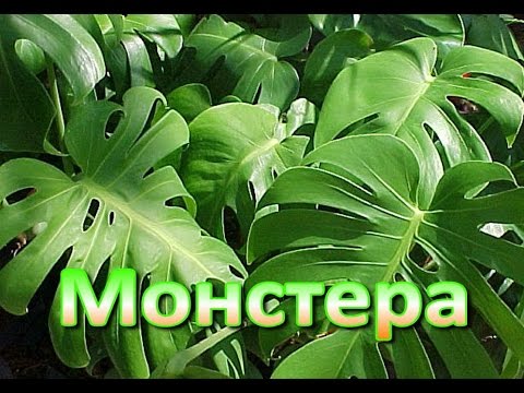 Какие уловки используют работодатели, чтобы уволить Какие инструменты нужны для изготовления мебели инструменты для