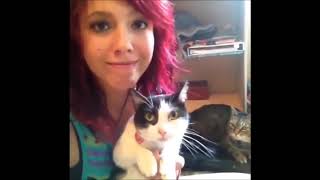 Funny Cats Fails Compilation -Funny Animal Videos Compilation (2018)