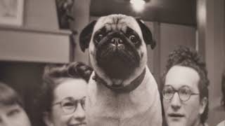 Mudec - Elliot Erwitt