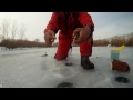 Ice Fishing Salamander