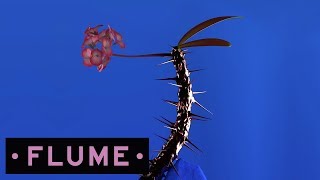 Watch Flume Hyperreal video