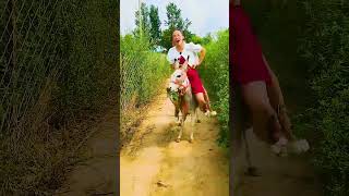 Donkey Riding