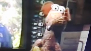 The Muppets Celebrate Jim Henson But Only When Rizzo Is Onscreen