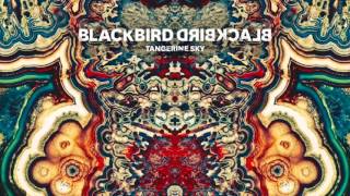 Watch Blackbird Blackbird Rare Candy video