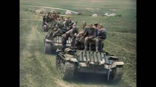 Битва За Севастополь (1944) #Цвете