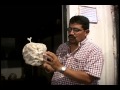 COSECHA HONGOS COMESTIBLES