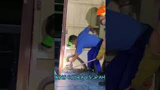 King Cobra Vs Jpam