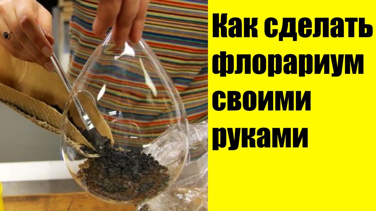 Флорариум своими руками пошаговая инструкция с фото Флорариум своими руками пошаговая инструкция с фото