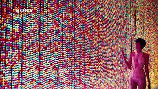 Sony Oled 4K Hdr Demo