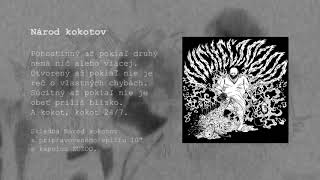 Ničiteľ - Národ kokotov (ZOZOO cover)