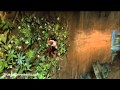 Prince Of Persia - Light Seed Guide - The Vale - Resorvoir
