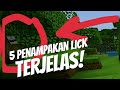 5 PENAMPAKAN LICK TERSERAM Mp3
