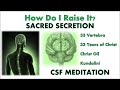 HOW TO RAISE THE SACRED SECRETION, **WITH CSF (Christ Oil) MEDITATION** #kundalini #meditation
