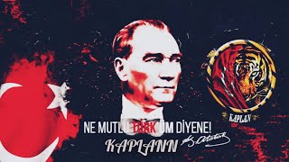 Biive Kaplan Amcalar Muro Yetmesine Tekme Tokad Iş Dersi