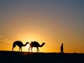 Arabic music Chill out by Phobos عربي موسيقى