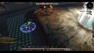 Arena Enhancement Shaman... last a little longer.... wait nope :(