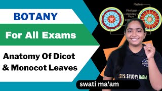 Anatomy Of Dicot And Monocot Leaves .Sc. Botany 2Nd Semester Swati Maam