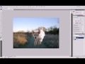 Photoshop How-To: Image Into Another Image