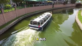 10 Interesting Facts About Buses