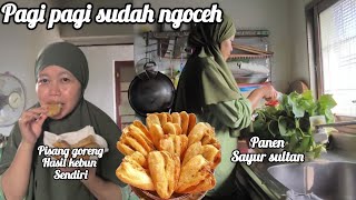 Tkw Taiwan Sudah Mengadu Ke Majikan, Sudah Mode Galak Kakek Masih Nggak Nurut