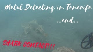 Underwater Metal Detecting and Shark in Tenerife - Canarie Island - Nokta Anfibio Multi - CTX 3030