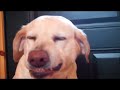 Break's Top 15 Most-Watched Videos Of The Year!(2011)　part2.