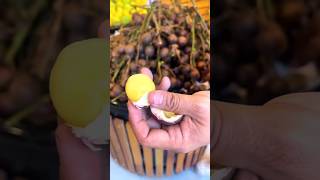 Matoa Fruit Buah Asli Papua Indonesia