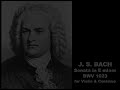 Bach - Sonata Violin in E minor BWV 1023